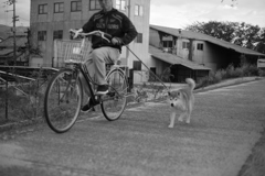 走ってるけど散歩