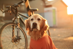 後光がさしてるみゅうちゃん