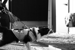 2018写し納　よいお年を！