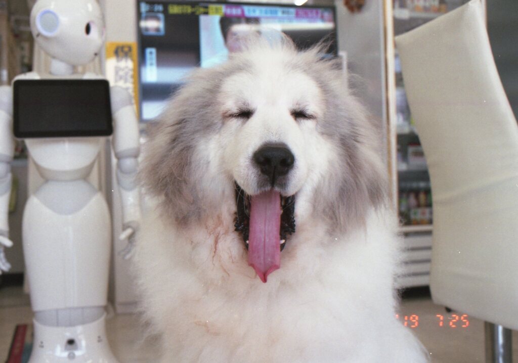 film Superia X-traにて
