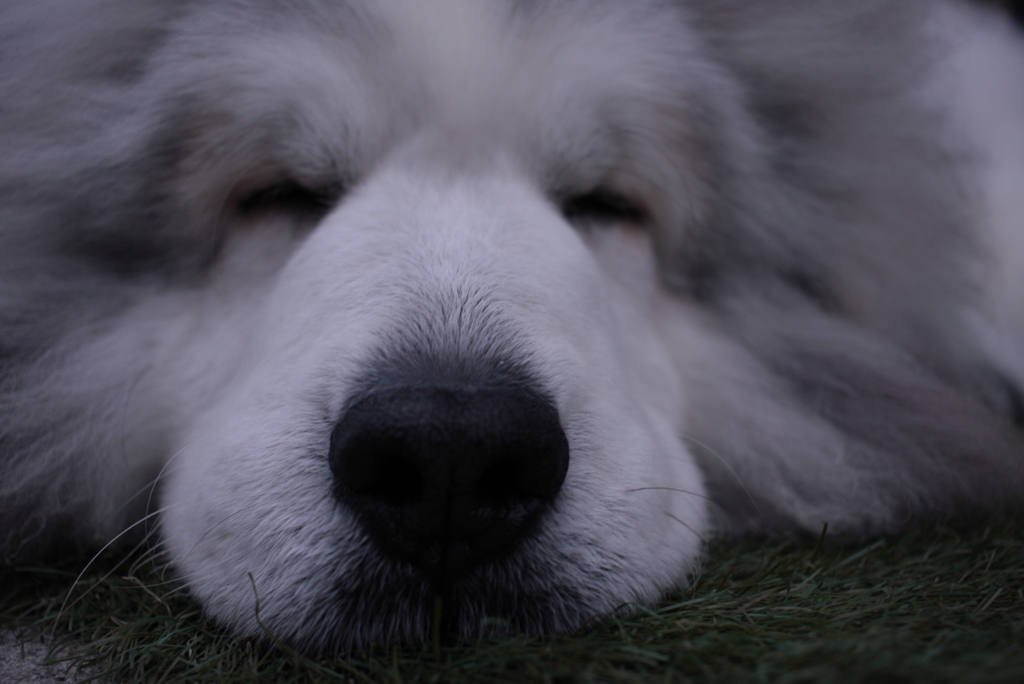 今日もいつも通り