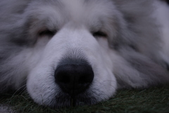 今日もいつも通り