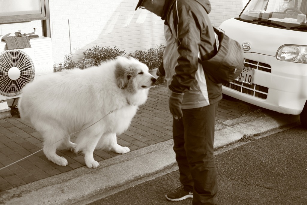 おじさんに甘えるココさん