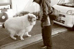 おじさんに甘えるココさん