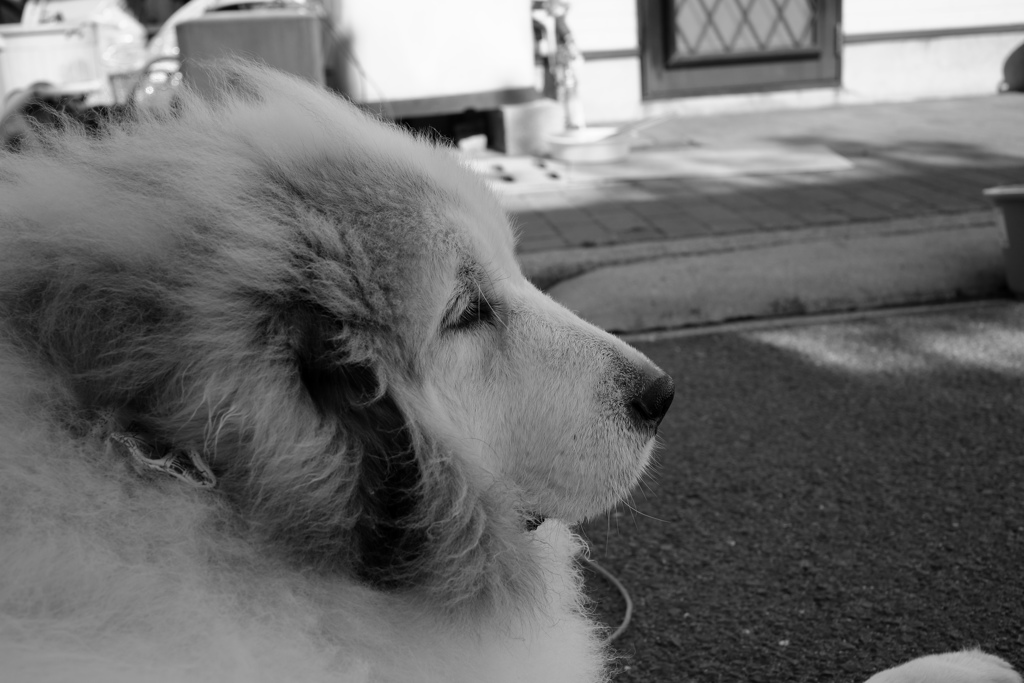 ココさん＠2019-05-09