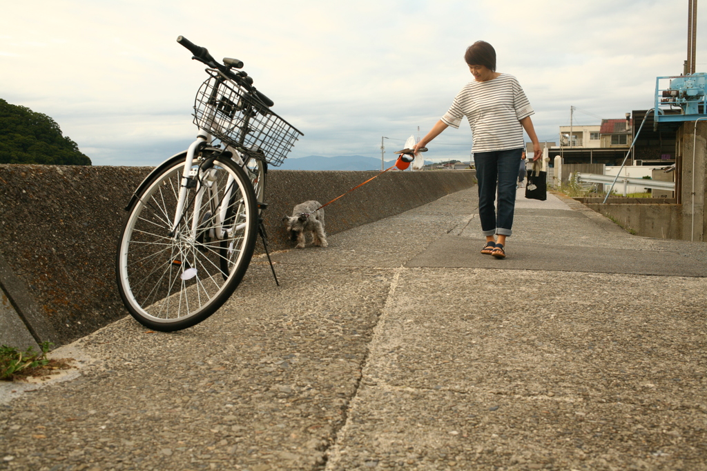 お母さんと散歩してるシュガー