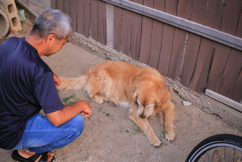 坂田さんとみゅうちゃん