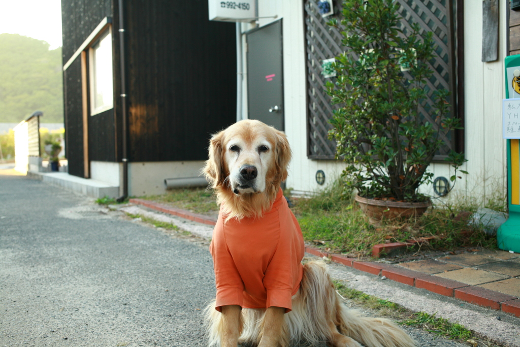 お宿番してるみゅうちゃん