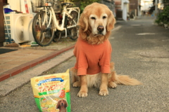 ワンワンビスケットとみゅうちゃん