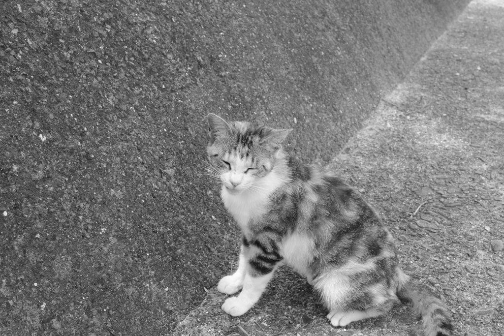 表はまだ適度に涼しい