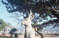 昨日　フィルムにて