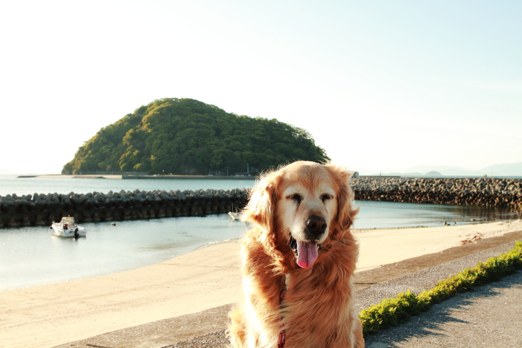 みゅうちゃんと鹿島