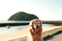 みゅうちゃんと鹿島