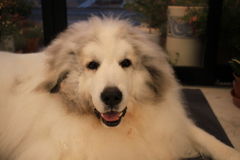 ココさんが裏から出てきてくれた