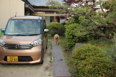 お出迎えしてくれるみゅうちゃん