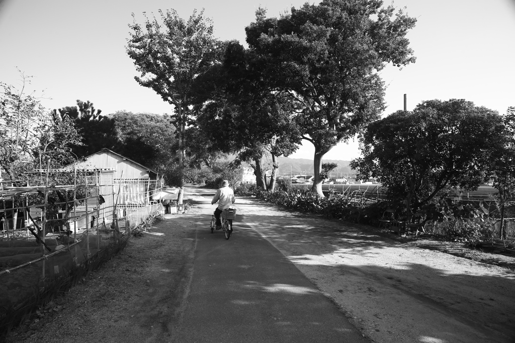 ＠2020‐10‐26