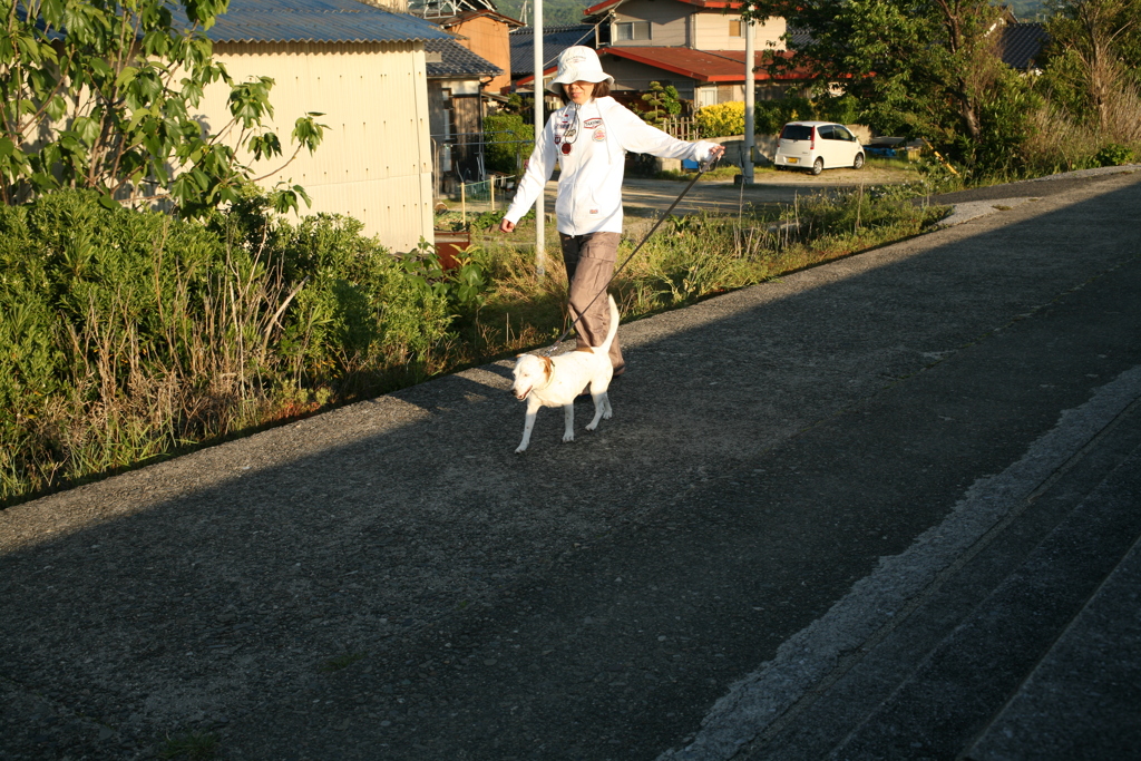 クルルちゃんが散歩してる