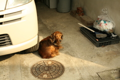 春日和＠2019-03-28