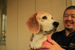 アスカちゃん12歳