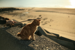 おばちゃんに遊ばれるまるちゃん