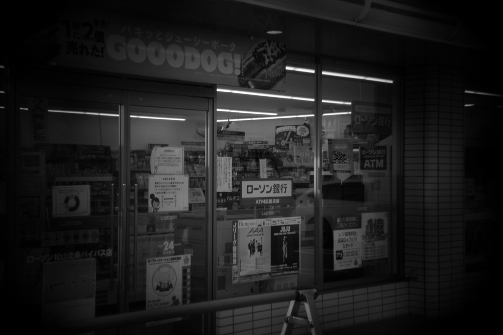 Holga lens by Monochrome