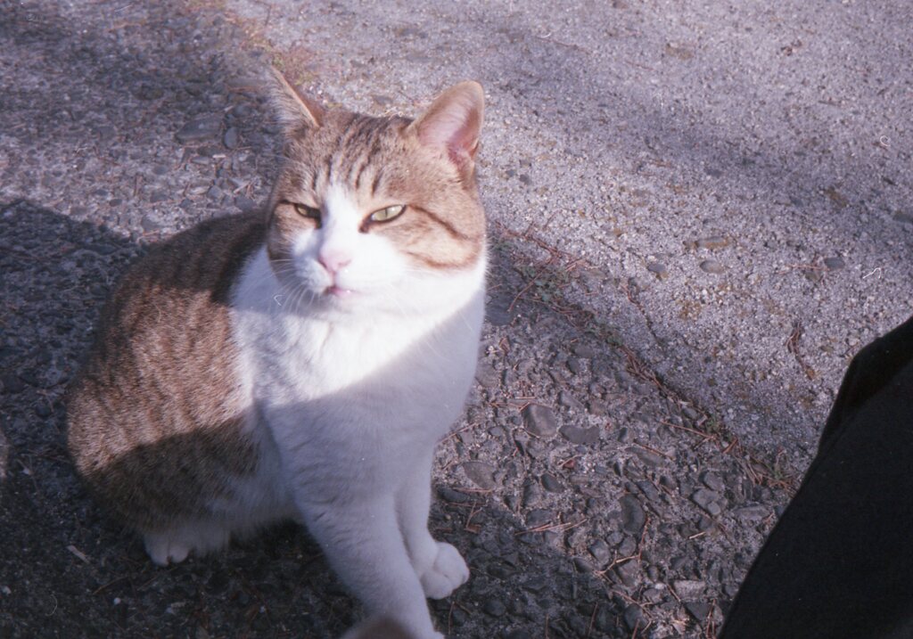 Trip35にて