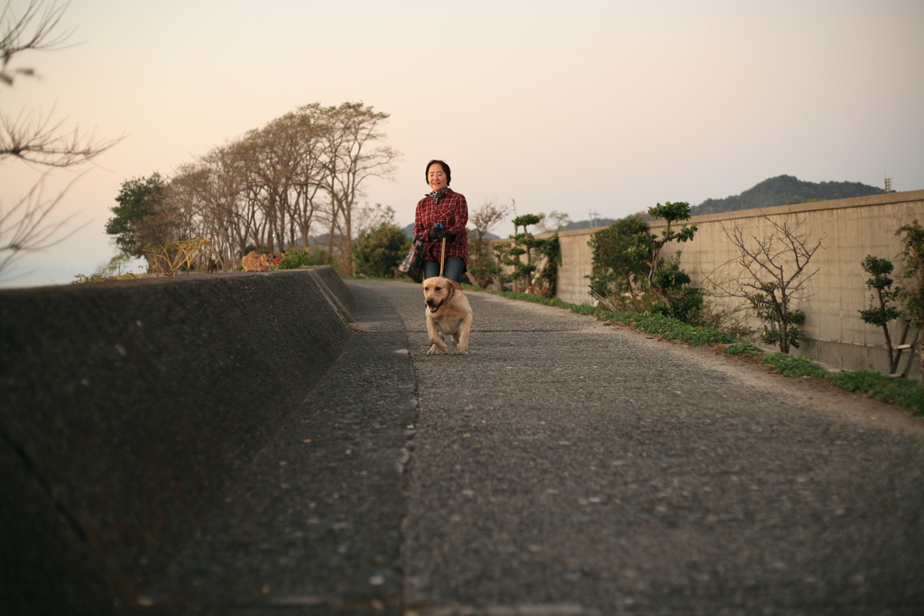 猛突進してくるサーブちゃん
