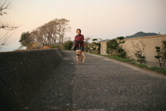 猛突進してくるサーブちゃん