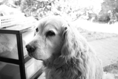 今日も元気なみゅうちゃん