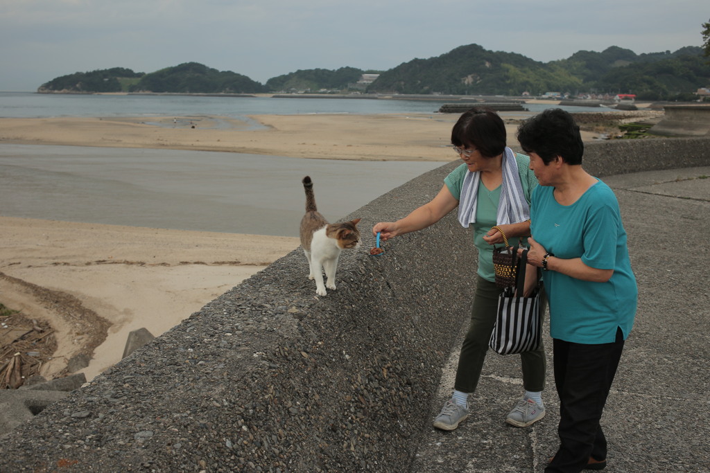 オバチャンズとトム君