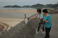 オバチャンズとトム君