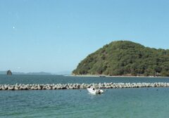 ロモ　カラーネガ100