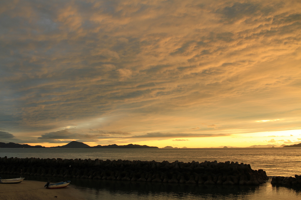 雨が上がった、明日は晴れそう