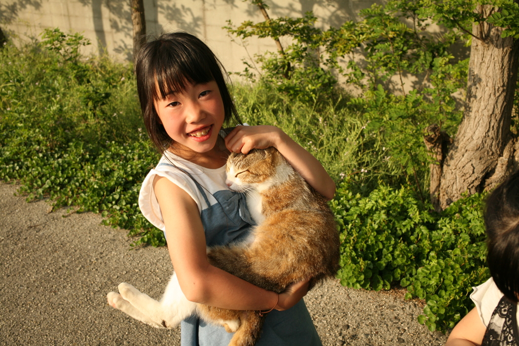 あきらめ気味のトム君
