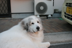 @2018-02-12 建国記念日