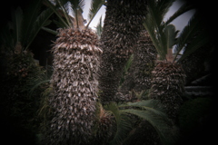 ホルガトイレンズにて