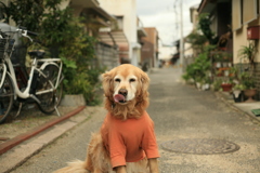 朝のみゅうちゃん