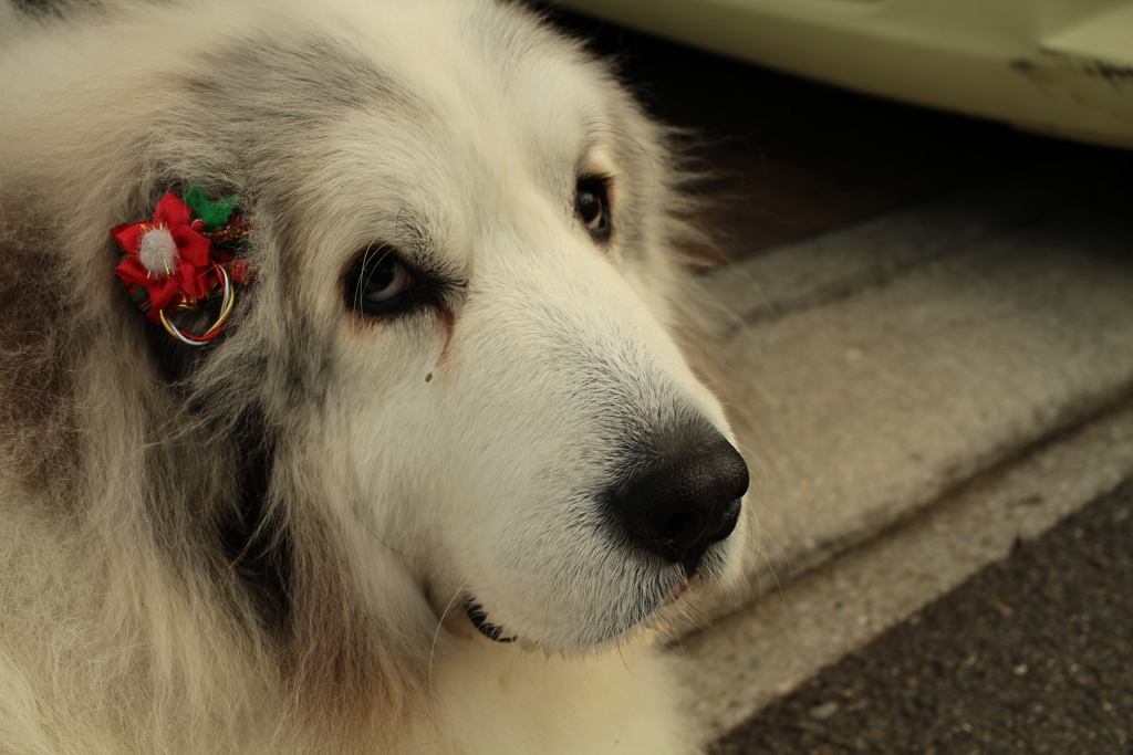 いつも通り＠2018-01-01