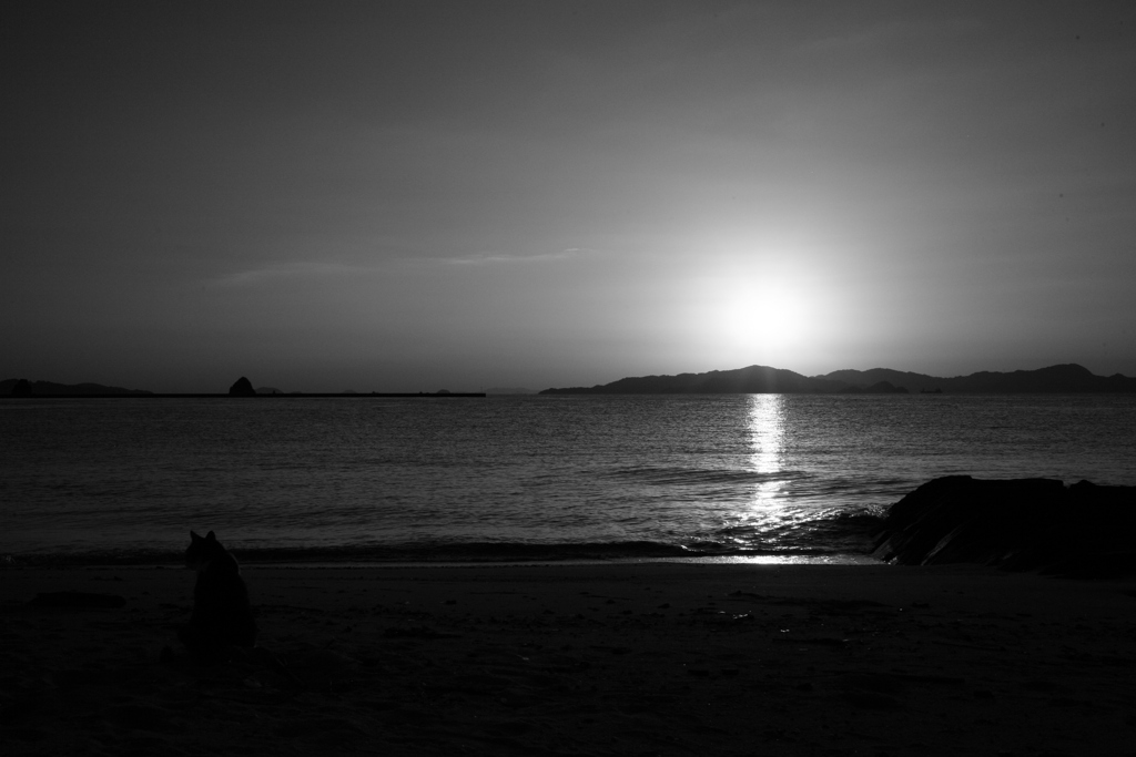 今日もやっぱり日が暮れる