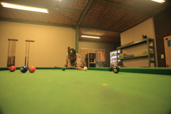 道具は一流腕前二流