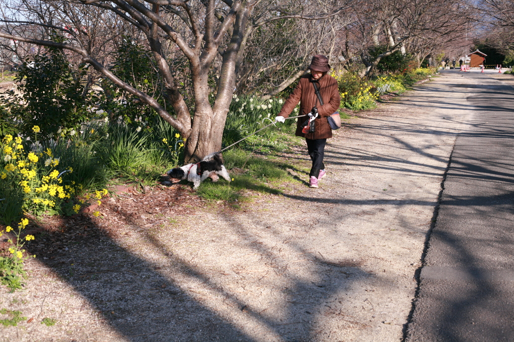 マックがお母さんと散歩中