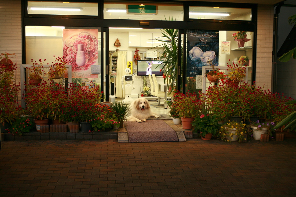 門番してるココさん