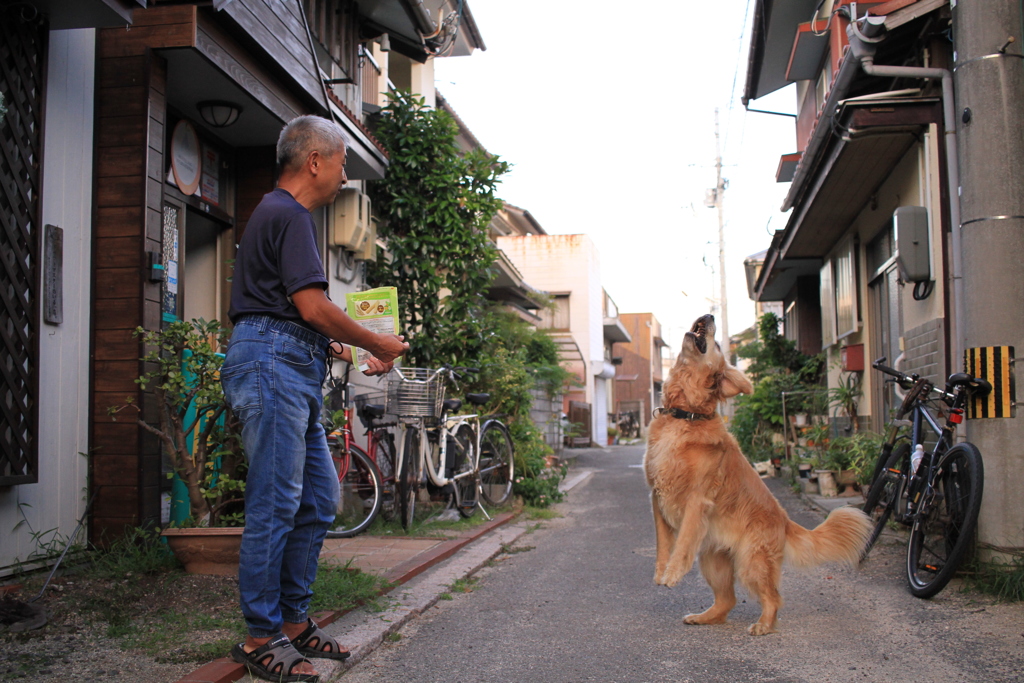みゅうちゃんのおやつキャッチ