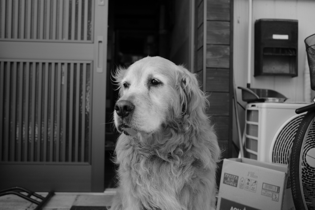 昨日のB面的写真