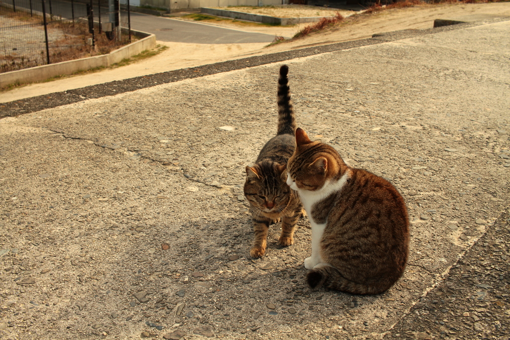 本格的に寒い＠2018-01-11