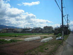 ある晴れた昼下がり