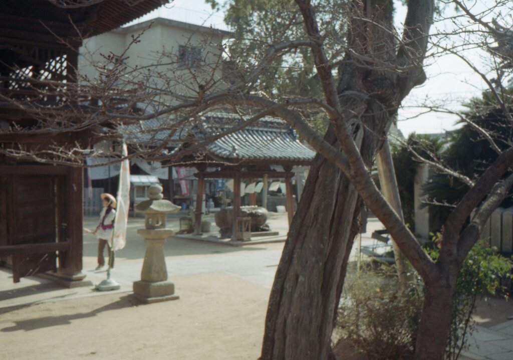 TRIP35＋ロモ100にて円明寺とか