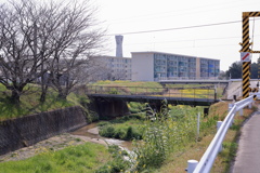 春日和＠2019-03-22