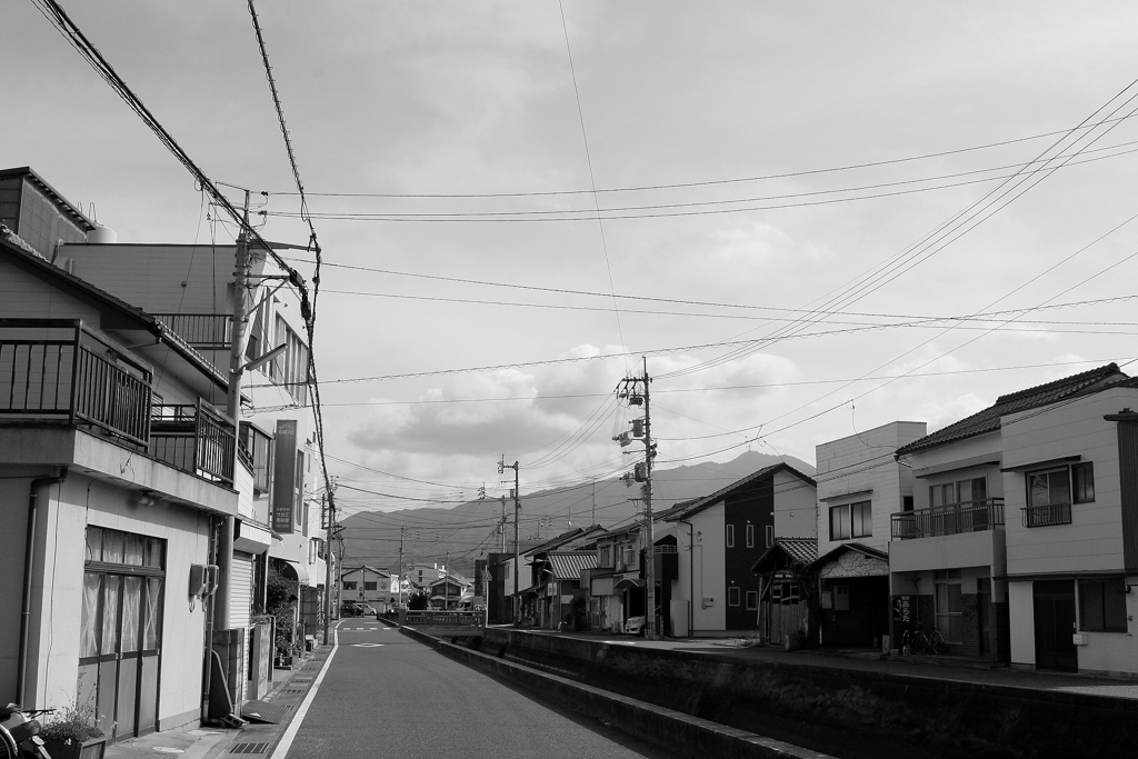 Eos20Dはモノクロにすると絶妙　４