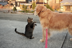 2017-02-06 カラー　４